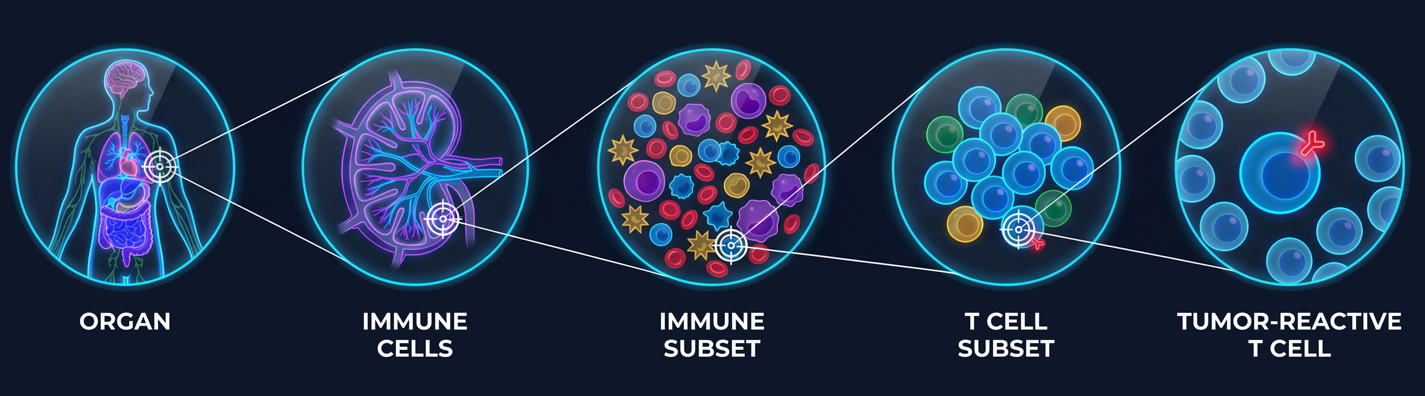 Precision Delivery Platform Zoom Process